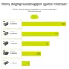 RYOBI 36V MAX POWER hómaró SOLO – 30 cm munkaszélesség, RY36ST30A-0