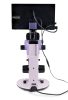 MAGUS Stereo D7T LCD BASE digitális sztereomikroszkóp